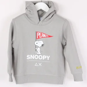 Felpa Rocky Peanuts Grigio