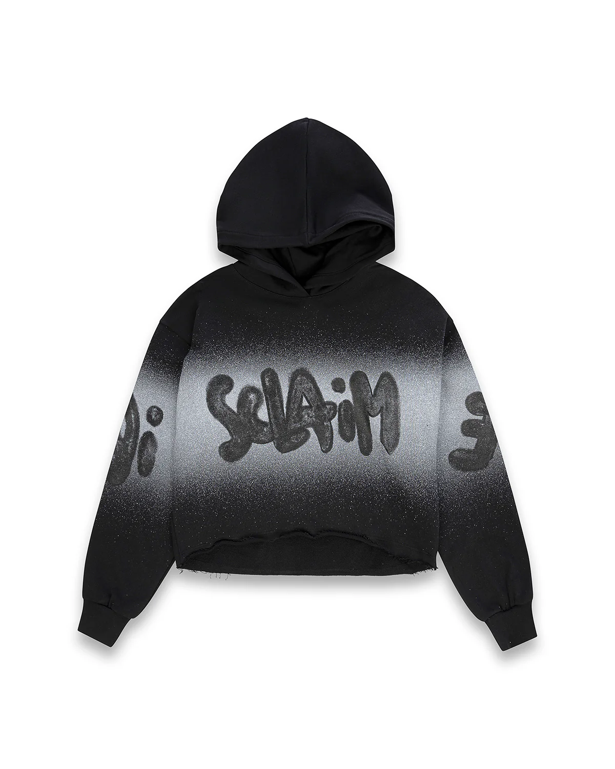 DISCLAIMER HOODIE 55574